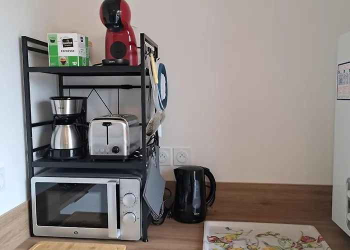 Land'O Ceans - Grand Studio A 2 Pas De La Plage Apartmán Biscarrosse